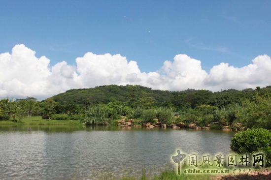 人工湖湖邊綠化景觀