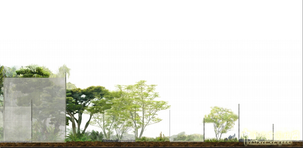 武漢園博會創意花園薄紗森林