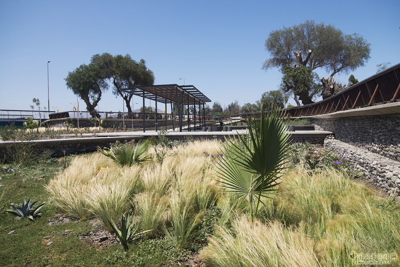 智利科皮亞波市Kaukari城市公園景觀設計