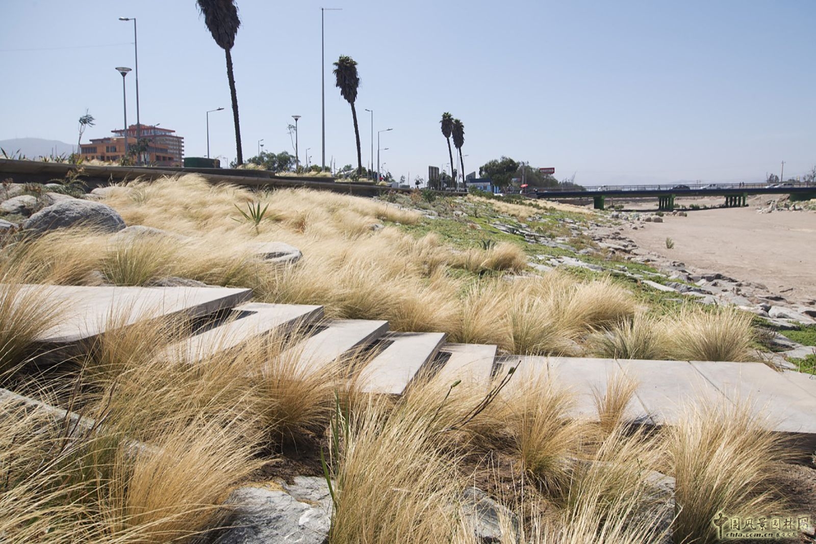 智利科皮亞波市Kaukari城市公園景觀設(shè)計