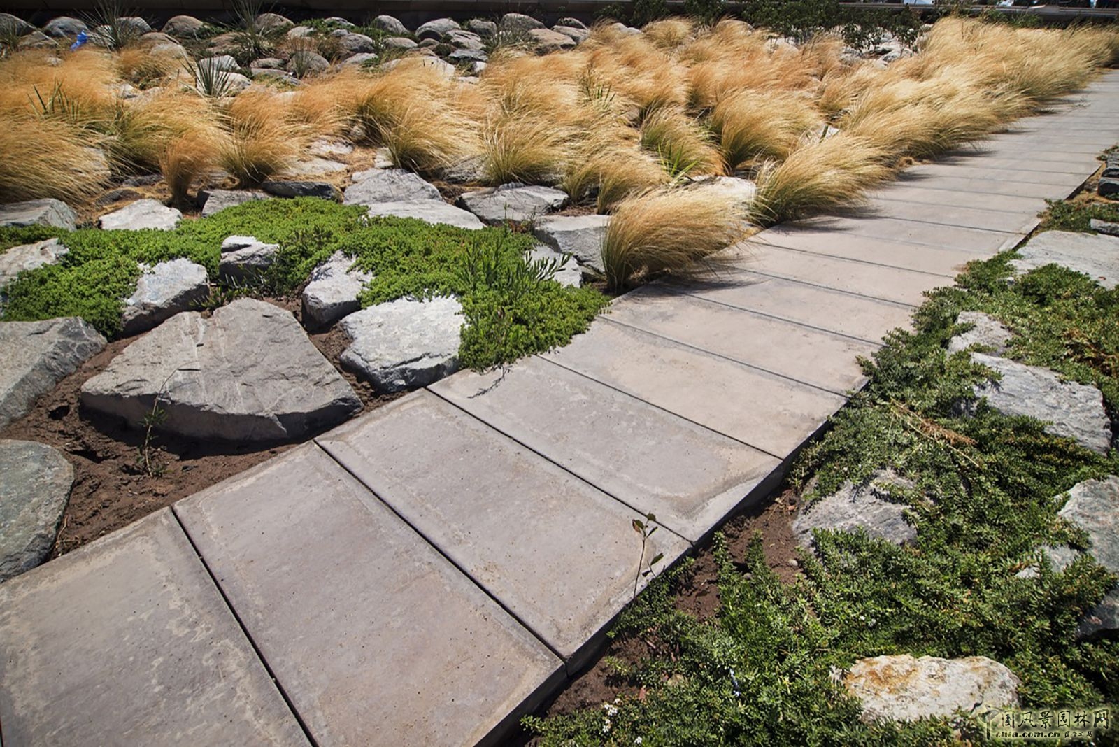 智利科皮亞波市Kaukari城市公園景觀設(shè)計