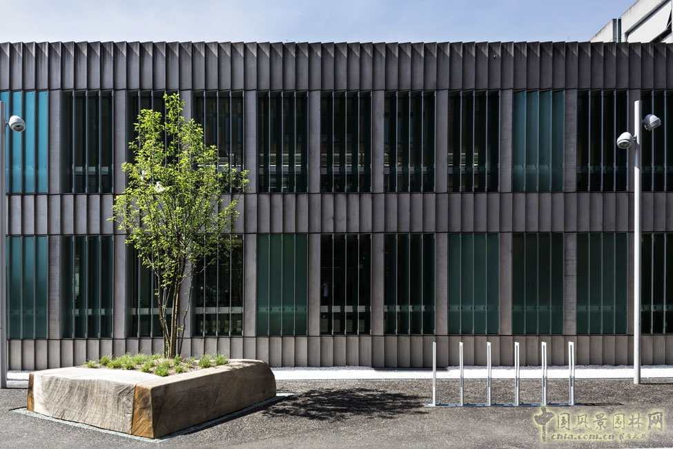 瑞士埃比孔Riedmatt 廣場景觀設(shè)計