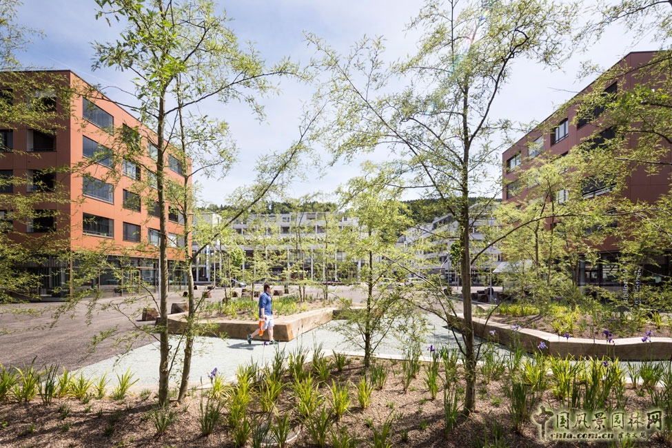 瑞士埃比孔Riedmatt 廣場景觀設(shè)計