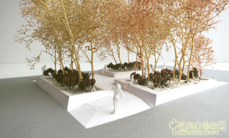 瑞士埃比孔Riedmatt 廣場景觀設計