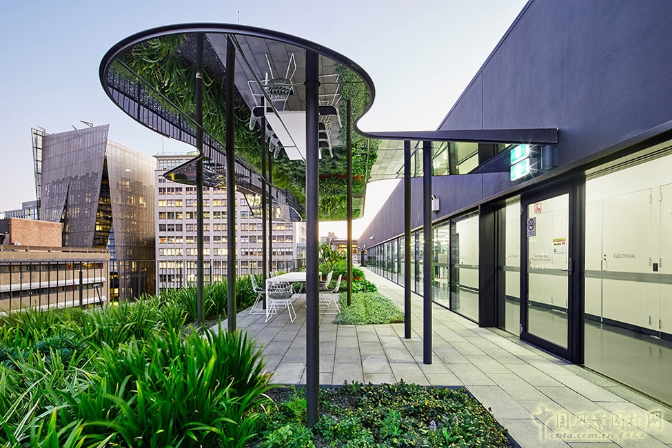 悉尼科技大學校友綠地