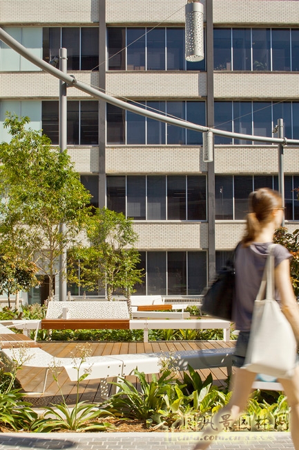 悉尼科技大學校友綠地