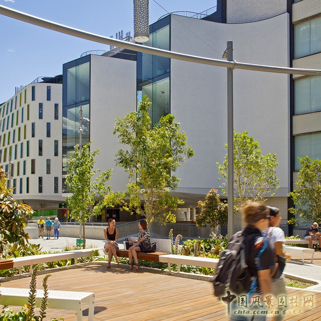 悉尼科技大學校友綠地