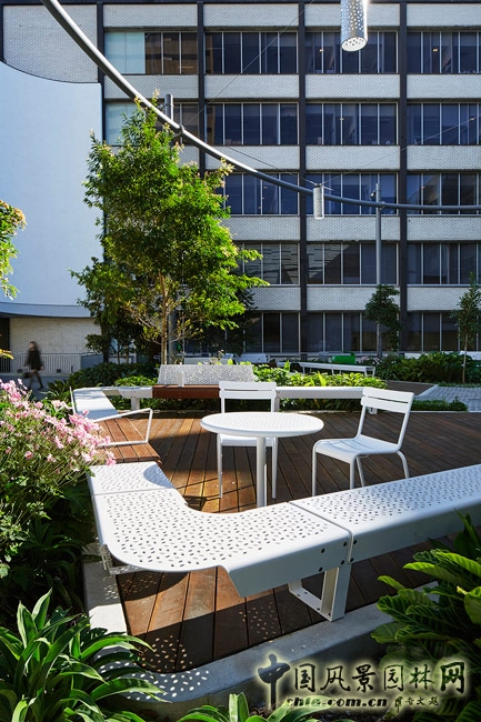 悉尼科技大學校友綠地