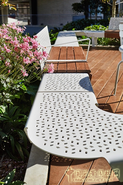 悉尼科技大學校友綠地