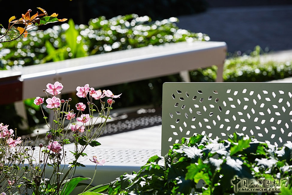 悉尼科技大學校友綠地