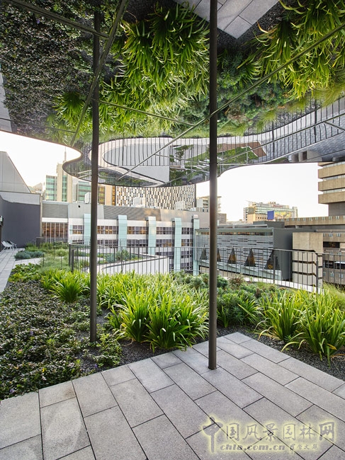 悉尼科技大學(xué)校友綠地