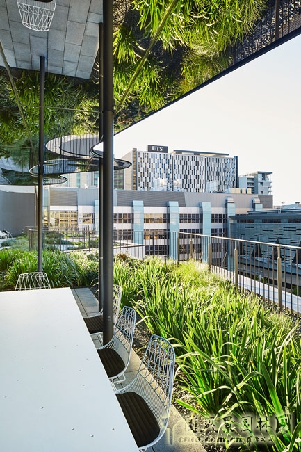 悉尼科技大學(xué)校友綠地