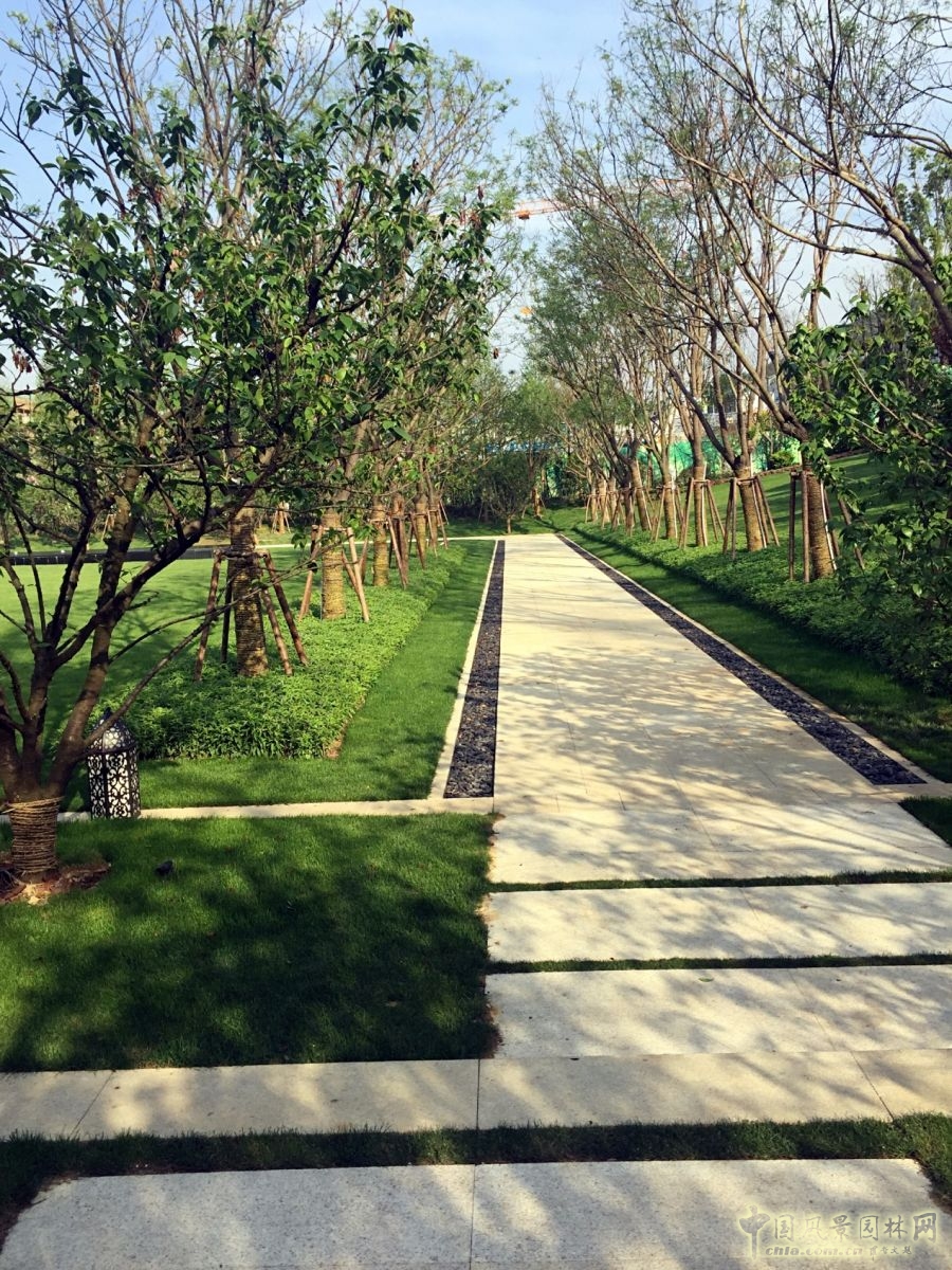 重慶緯圖項目展播：商城?綠谷云溪