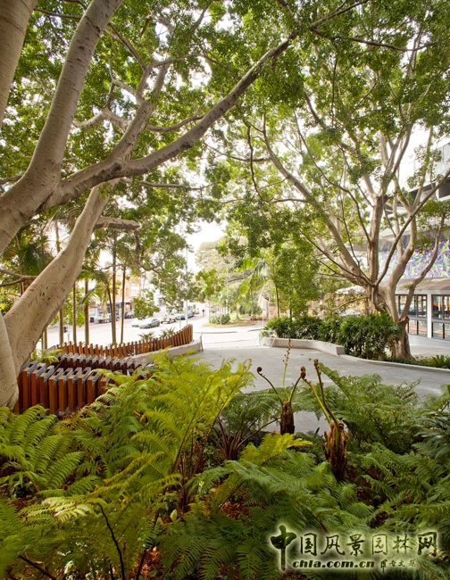 澳大利亞悉尼納皮爾大街公共空間景觀設(shè)計