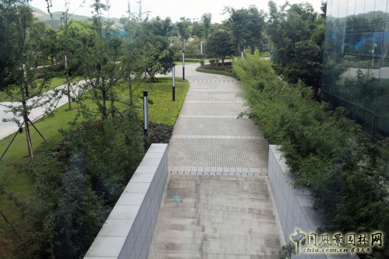 主樓南側地庫出口景觀