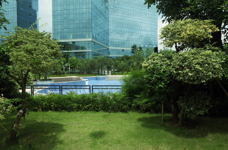 泳池南側(cè)一角