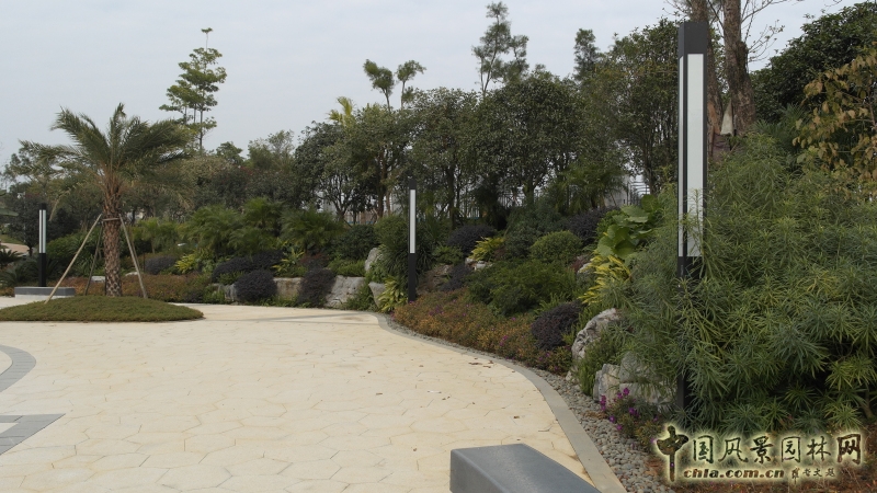 泳池一側(cè)景石綠化造景