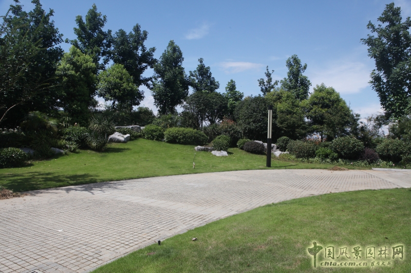 園區東北角園路北側綠化景觀