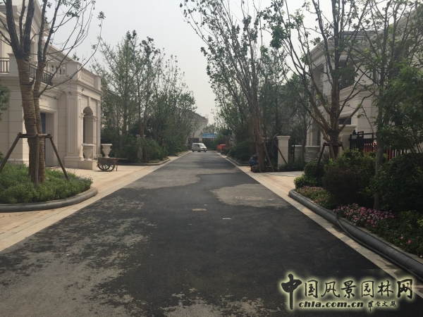 2015住宅景觀獎格拉斯四期園林景觀工程