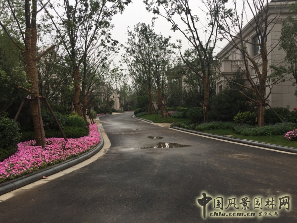 2015住宅景觀獎(jiǎng)格拉斯四期園林景觀工程