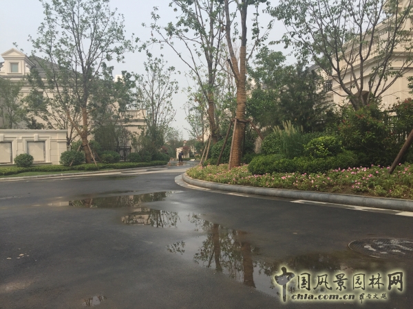 2015住宅景觀獎(jiǎng)格拉斯四期園林景觀工程