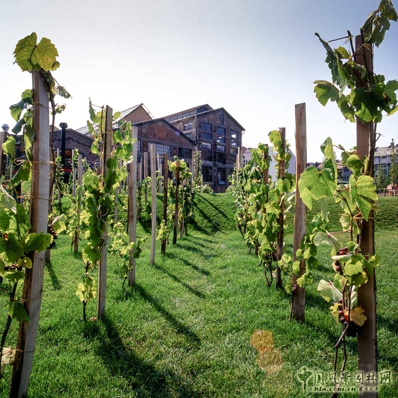 匈牙利布達佩斯千禧公園景觀設計