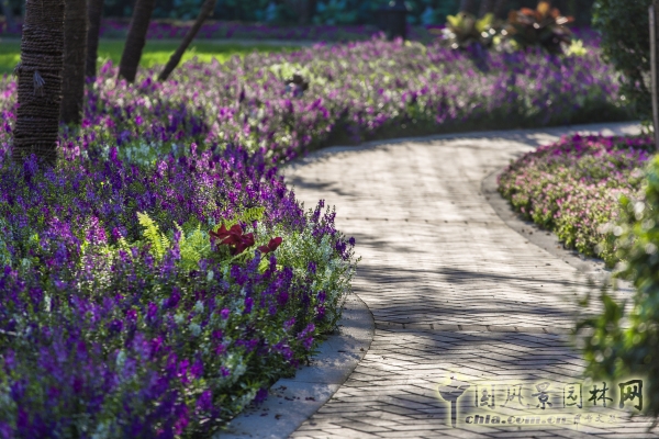 首創(chuàng)禧瑞墅