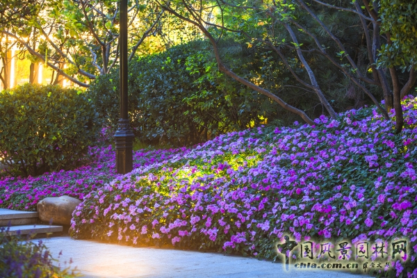 首創(chuàng)禧瑞墅