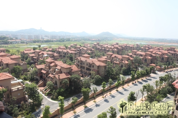 2015住宅景觀獎：洞庭湖國際公館一期別墅景觀綠化