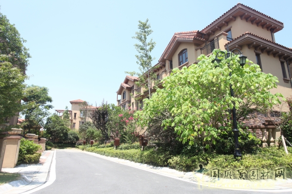 2015住宅景觀獎：洞庭湖國際公館一期別墅景觀綠化