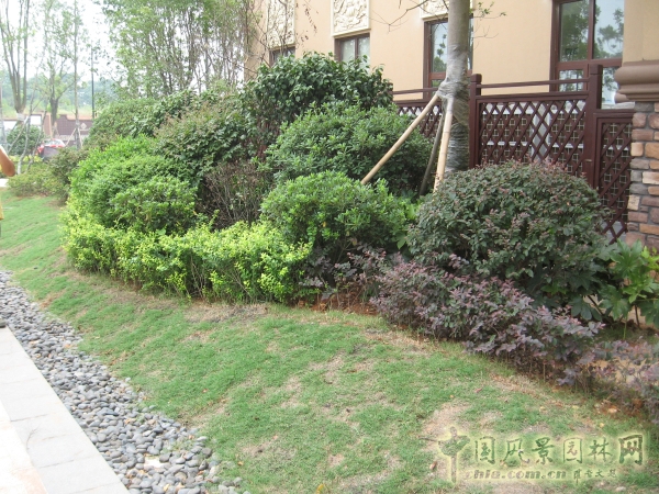 2015住宅景觀獎(jiǎng)：洞庭湖國(guó)際公館一期別墅景觀綠化