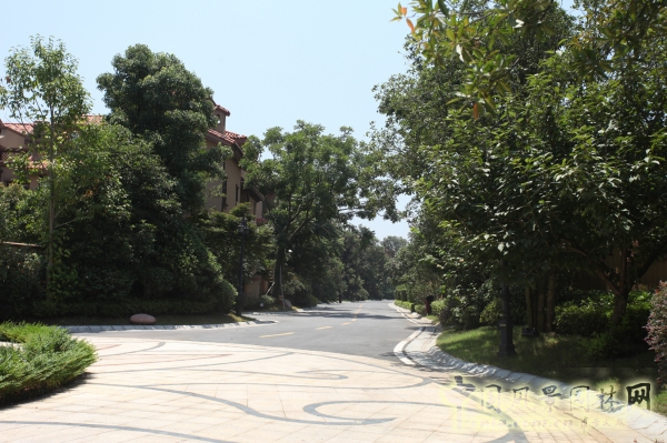 2015住宅景觀獎(jiǎng)：洞庭湖國(guó)際公館一期別墅景觀綠化