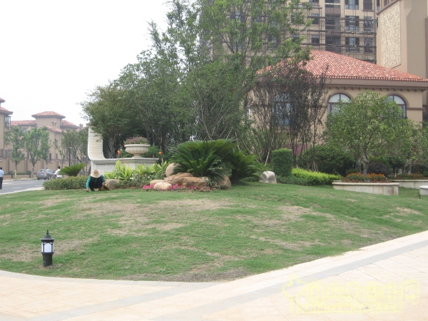 2015住宅景觀獎：洞庭湖國際公館一期別墅景觀綠化