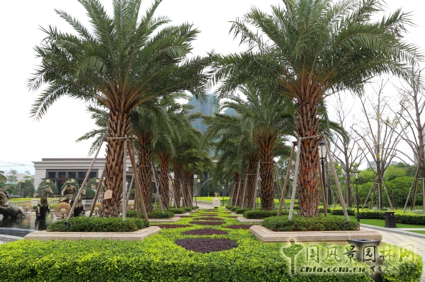 2015園冶杯住宅景觀獎大獎：福州﹒陽光凡爾賽宮