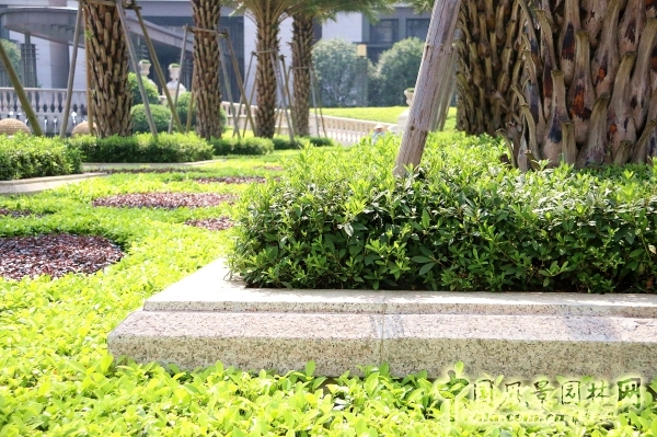 2015園冶杯住宅景觀獎大獎：福州﹒陽光凡爾賽宮