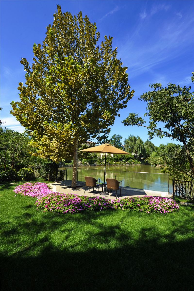 2015園冶杯專業獎大獎:格拉斯四期展示區園林景觀工程