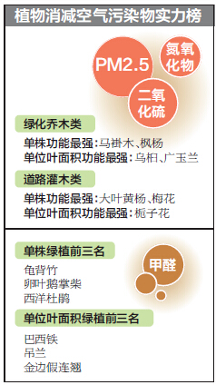 南京市園林局研究成果:烏桕消減PM2.5效果好