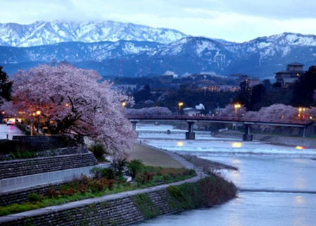 日本新干線沿途的美麗花海(組圖)