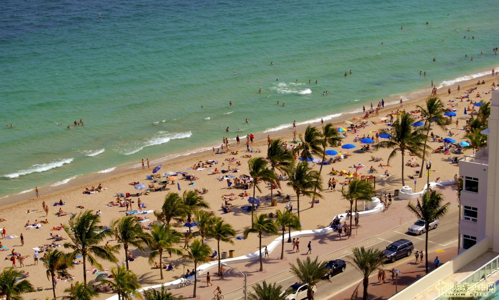 美國景觀大師庫曼先生將出席園冶高峰論壇