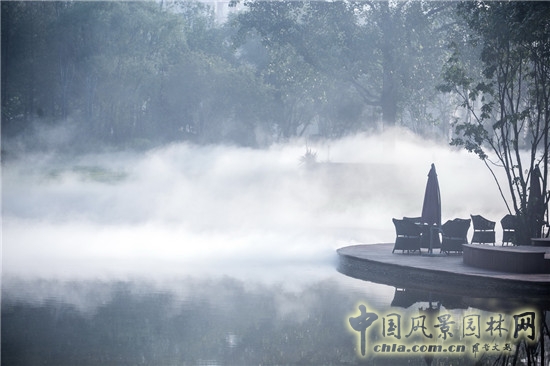 平和優(yōu)雅的人居美 藍(lán)調(diào)國(guó)際項(xiàng)目展示