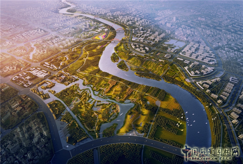 DDON笛東五項目助力安徽界首城市復興