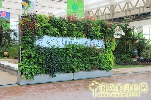 蕭山花木節  等你來圍觀