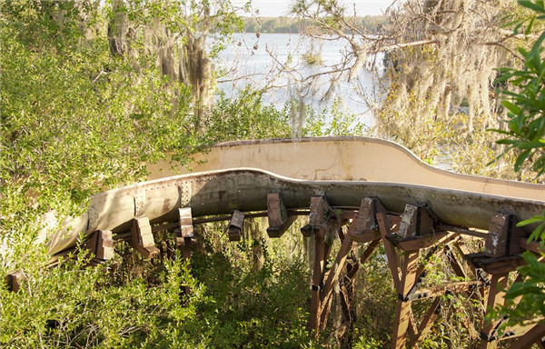 迪士尼水上公園廢棄15年變“植物園”