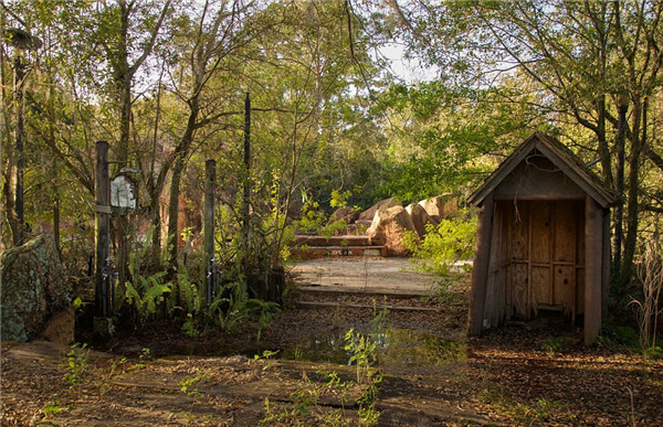 迪士尼水上公園廢棄15年變“植物園”