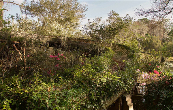 迪士尼水上公園廢棄15年變“植物園”