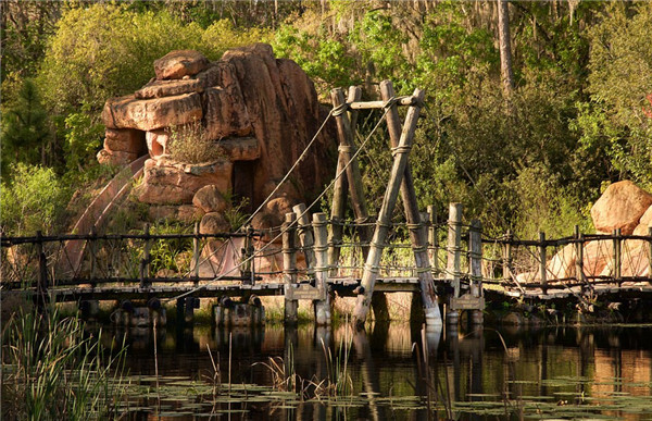 迪士尼水上公園廢棄15年變“植物園”