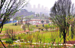 重慶今后城市能“吸水” 不再擔心下暴雨