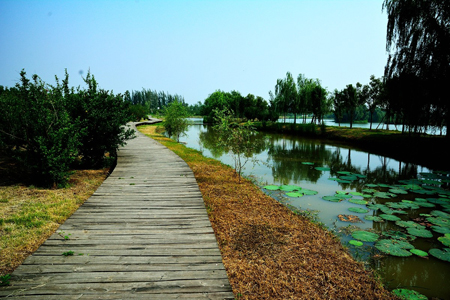 西安:浐灞生態(tài)國(guó)家濕地公園