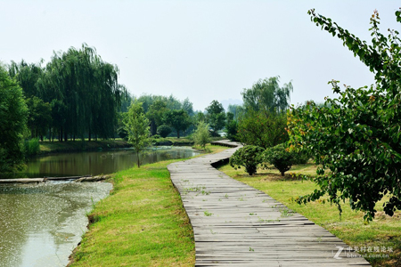 西安:浐灞生態(tài)國(guó)家濕地公園