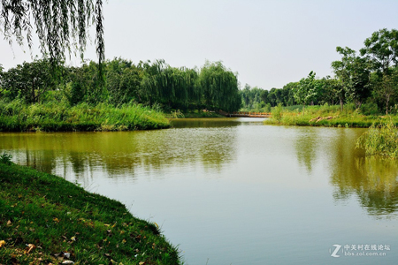 西安:浐灞生態(tài)國(guó)家濕地公園